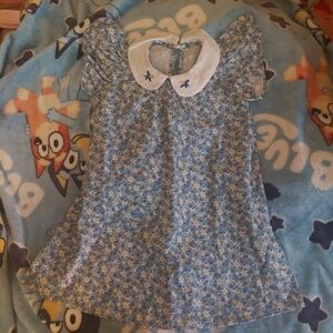 Floral Blue Dress with White Collar